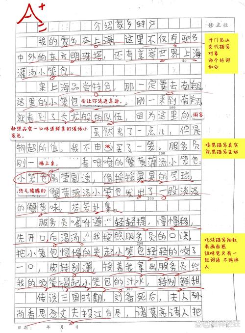 我的家乡上海有美食字左右的作文在线急等(图1)