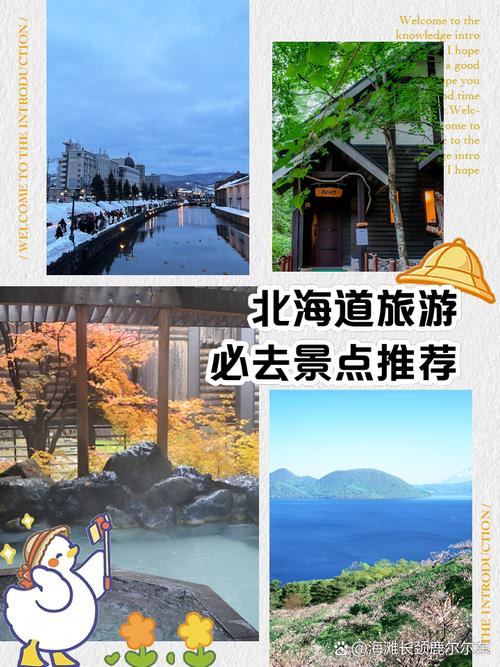 跟团去北海道旅游那个旅行社比较好(图1)