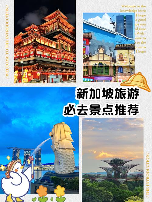 从新西兰去新加坡旅游