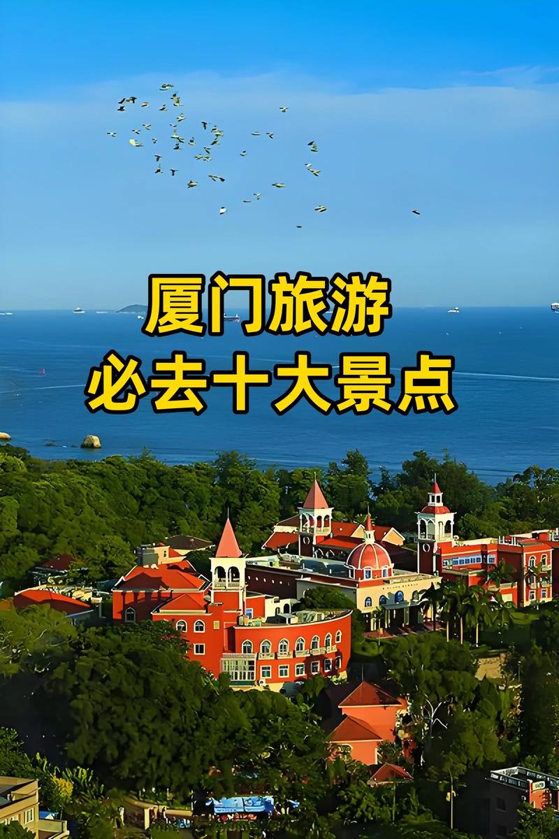 最近想去厦门玩玩那个旅游团好点