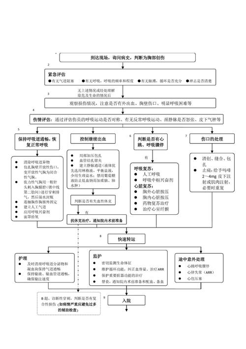 导游要具备哪些安全防范与急救实施流程(图1)