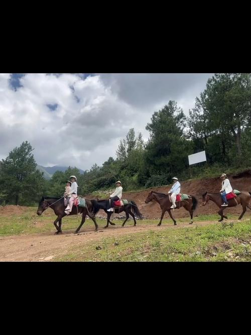 7月去丽江旅游去茶马古道骑马和划船应该不错吧(图1)