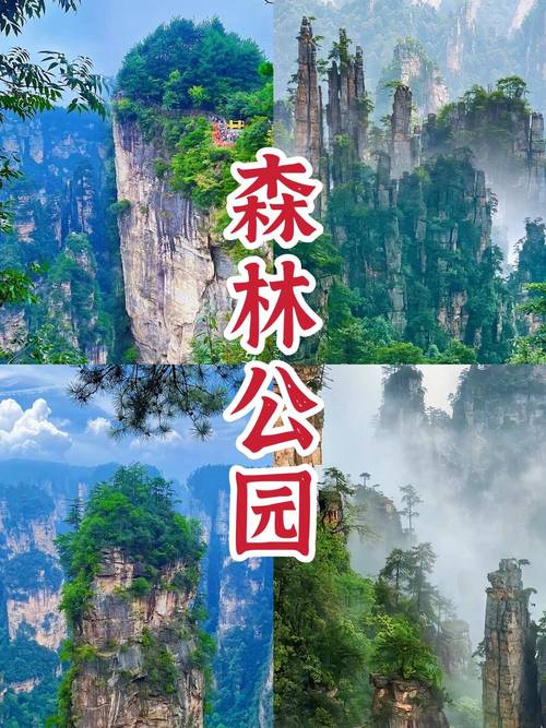 天津到张家界旅游攻略