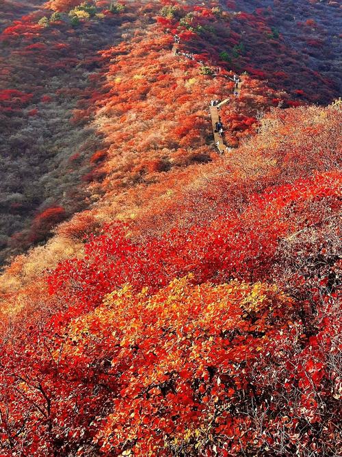 北京秋季旅游哪里最美除了香山八达岭