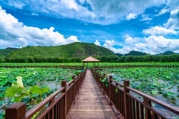 夏季旅游有哪些好去处