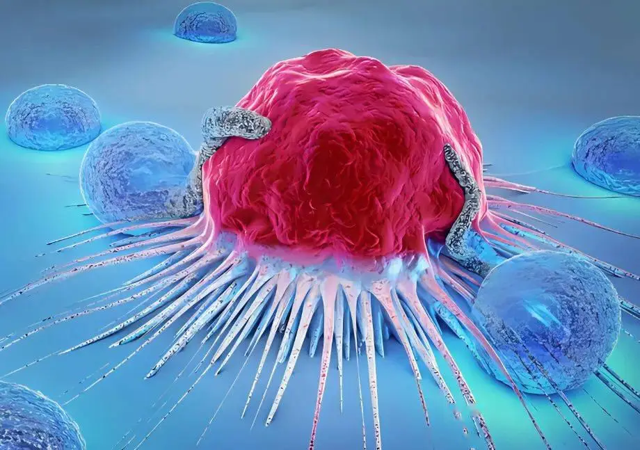 抑制癌细胞增殖和转移！上海交大联合复旦发布最新研究成果